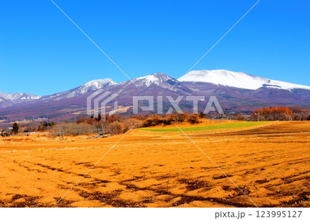 2月の冠雪の浅間山　　　信州の山々　　　信州に風景 123995127