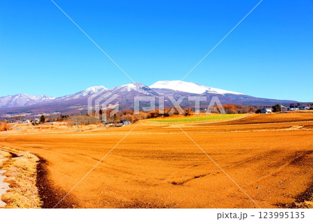 2月の冠雪の浅間山　　　信州の山々　　　信州に風景 123995135