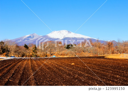 2月の冠雪の浅間山 信州の山々 信州に風景 2月の冠雪の浅間山 信州の山々 信州に風景 123995150