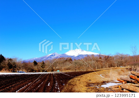 2月の冠雪の浅間山　　　信州の山々　　　信州に風景 123995171