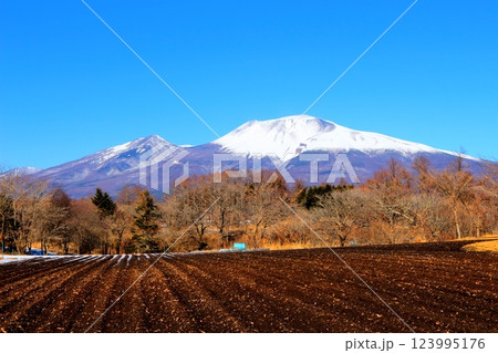2月の冠雪の浅間山 信州の山々 信州に風景 2月の冠雪の浅間山 信州の山々 信州に風景 123995176