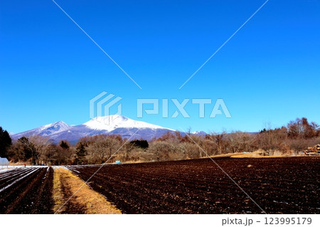 2月の冠雪の浅間山　　　信州の山々　　　信州に風景 123995179