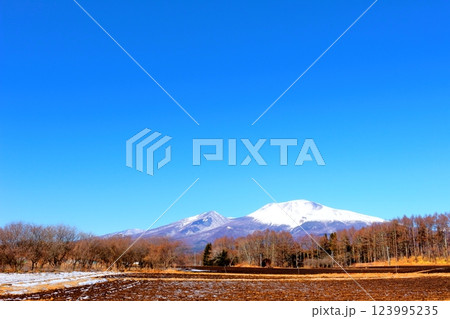 2月の冠雪の浅間山　　　信州の山々　　　信州に風景 123995235