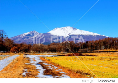 2月の冠雪の浅間山 信州の山々 信州に風景 2月の冠雪の浅間山 信州の山々 信州に風景 123995248