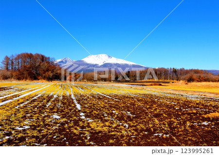 2月の冠雪の浅間山　　　信州の山々　　　信州に風景 123995261