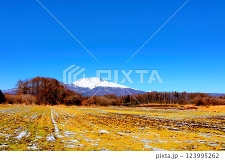 2月の冠雪の浅間山　　　信州の山々　　　信州に風景 123995262