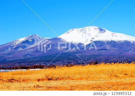 2月の冠雪の浅間山　　　信州の山々　　　信州に風景 123995312
