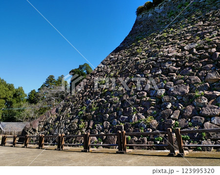 延岡城「千人殺しの石垣」 123995320