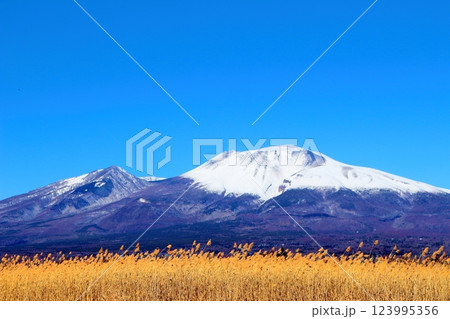 2月の冠雪の浅間山　　　信州の山々　　　信州に風景 123995356