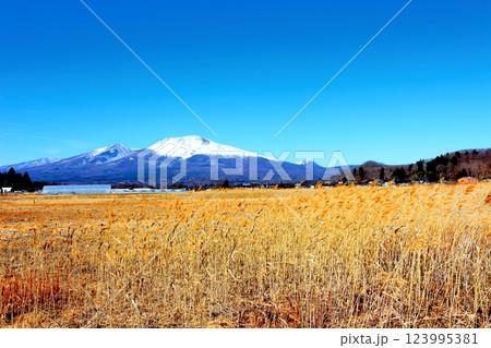 2月の冠雪の浅間山 信州の山々 信州に風景 2月の冠雪の浅間山 信州の山々 信州に風景 123995381