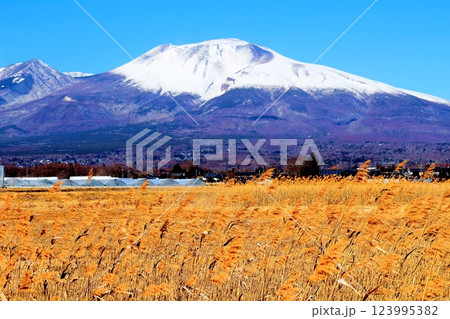 2月の冠雪の浅間山 信州の山々 信州に風景 2月の冠雪の浅間山 信州の山々 信州に風景 123995382