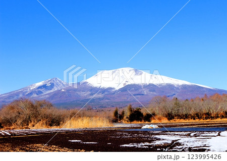 2月の冠雪の浅間山 信州の山々 信州に風景 2月の冠雪の浅間山 信州の山々 信州に風景 123995426