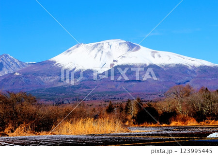 2月の冠雪の浅間山 信州の山々 信州に風景 2月の冠雪の浅間山 信州の山々 信州に風景 123995445