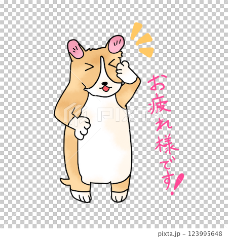 柯基犬敬禮並說“幹得好” 123995648