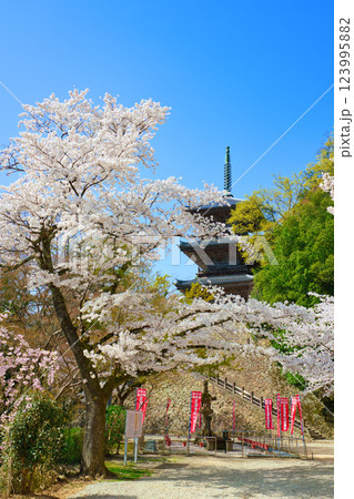 〈島根県〉安来市　桜に囲まれた清水寺三重塔 123995882