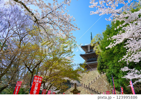 〈島根県〉安来市　桜に囲まれた清水寺三重塔 123995886