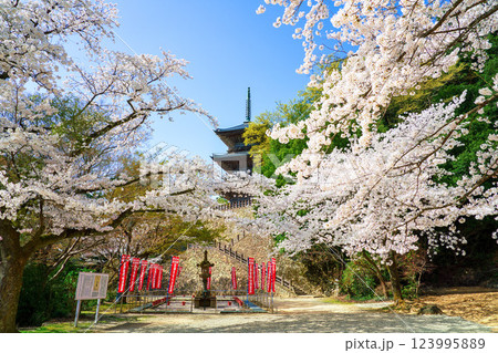 〈島根県〉安来市　桜に囲まれた清水寺三重塔 123995889