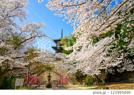 〈島根県〉安来市 桜に囲まれた清水寺三重塔 〈島根県〉安来市 桜に囲まれた清水寺三重塔 123995890