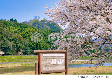 〈島根県〉月山富田城跡と桜と看板 123995910