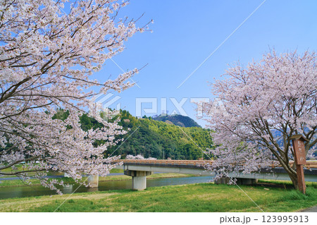 〈島根県〉月山富田城跡と富田橋と桜 123995913