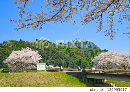 〈島根県〉月山富田城跡と富田橋と桜 123995917