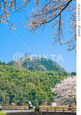 〈島根県〉月山富田城跡と富田橋と桜 123995918