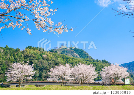 〈島根県〉月山富田城跡と富田橋と桜 123995919