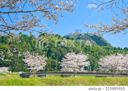 〈島根県〉月山富田城跡と富田橋と桜 〈島根県〉月山富田城跡と富田橋と桜 123995920