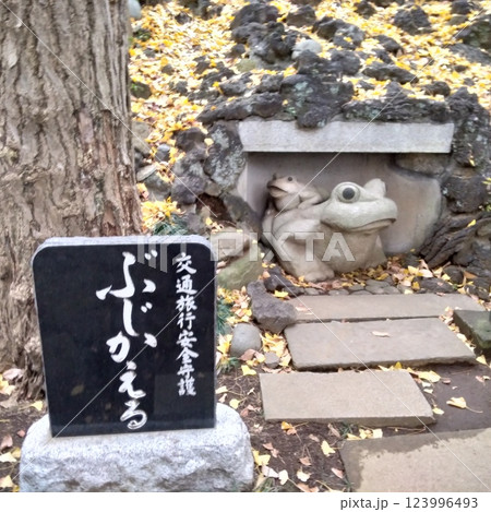 かえる かえる 123996493