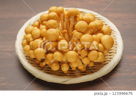 なめこ なめこ 123996676