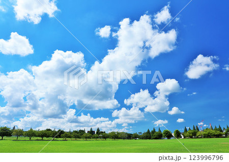爽やかな青空の公園 123996796
