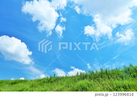 爽やかな夏の青空と新緑の草原風景 123996818