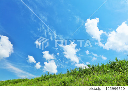 爽やかな夏の青空と新緑の草原風景 123996820