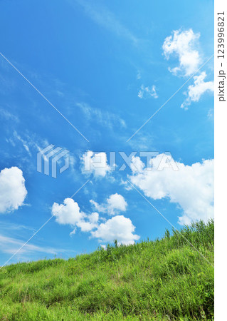 爽やかな夏の青空と新緑の草原風景 爽やかな夏の青空と新緑の草原風景 123996821