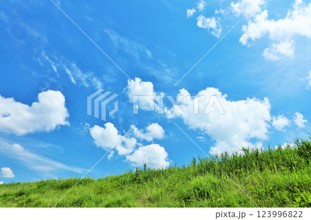 爽やかな夏の青空と新緑の草原風景 爽やかな夏の青空と新緑の草原風景 123996822