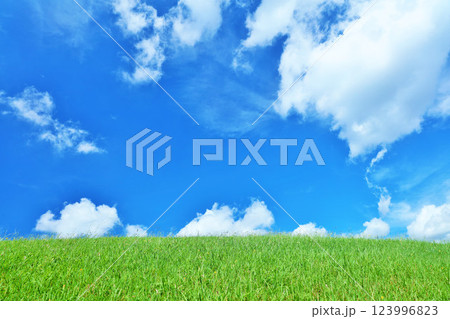 爽やかな夏の青空と新緑の草原風景 123996823