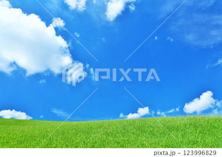 爽やかな夏の青空と新緑の草原風景 123996829