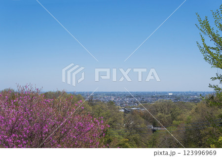 物見山公園:高台から見た関東平野の景色/埼玉県東松山市 物見山公園:高台から見た関東平野の景色/埼玉県東松山市 123996969