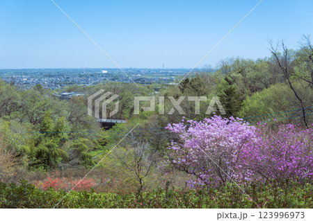 物見山公園：高台から見下ろす街並み／埼玉県東松山市 123996973