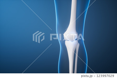 立体 3次元 3D 123997029