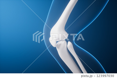 立体 3次元 3D 123997030