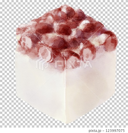 Watercolor illustration of Japanese confectionery Minazuki (white, square) Watercolor illustration of Japanese confectionery Minazuki (white, square) 123997075