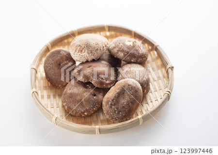 肉厚で美味しい椎茸 123997446