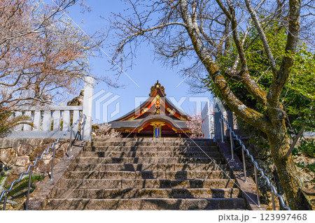 岩津天満宮（愛知県岡崎市）梅まつり 123997468
