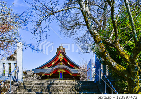 岩津天満宮(愛知県岡崎市)梅まつり 岩津天満宮(愛知県岡崎市)梅まつり 123997472