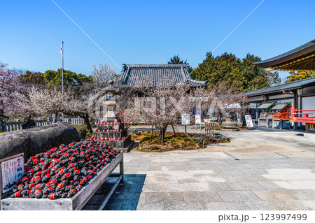 岩津天満宮（愛知県岡崎市）梅まつり 123997499