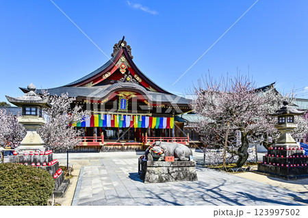 岩津天満宮（愛知県岡崎市）梅まつり 123997502