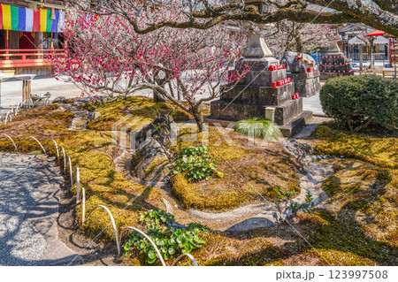 岩津天満宮（愛知県岡崎市）曲水の庭 123997508