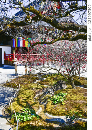 岩津天満宮(愛知県岡崎市)曲水の庭 岩津天満宮(愛知県岡崎市)曲水の庭 123997509