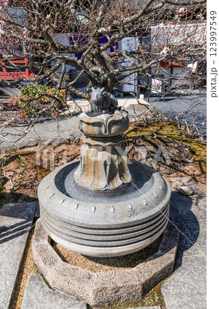 岩津天満宮（愛知県岡崎市）水掛け牛 123997549